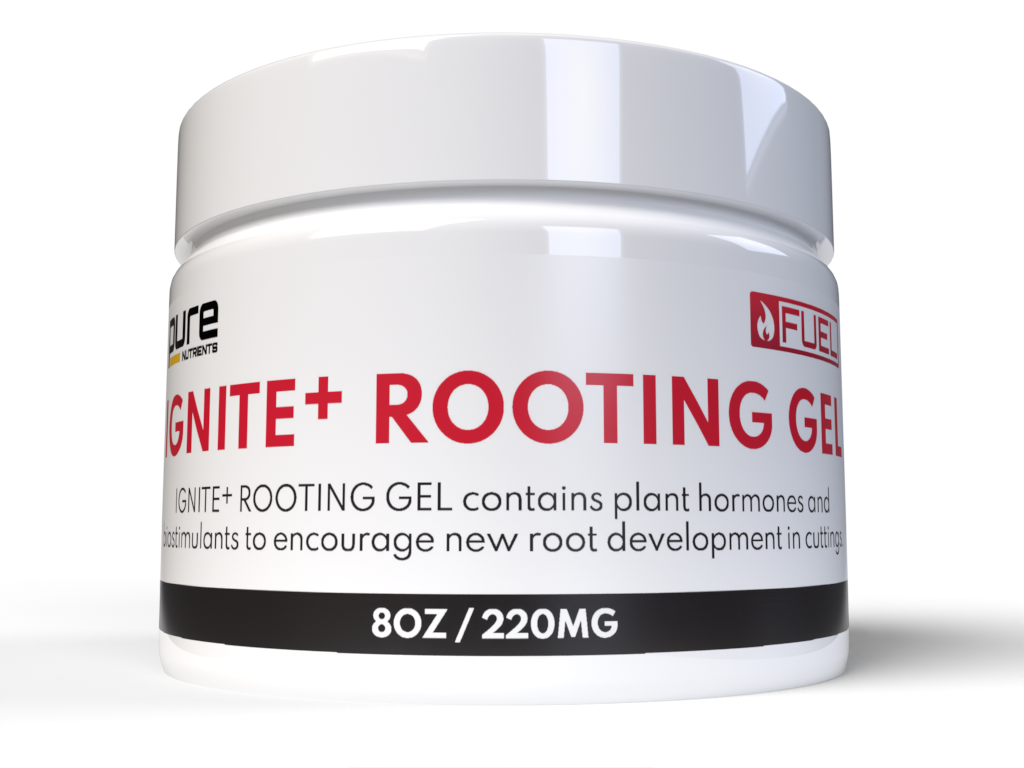 PURE FUEL Pro Line - IGNITE+ Rooting Gel