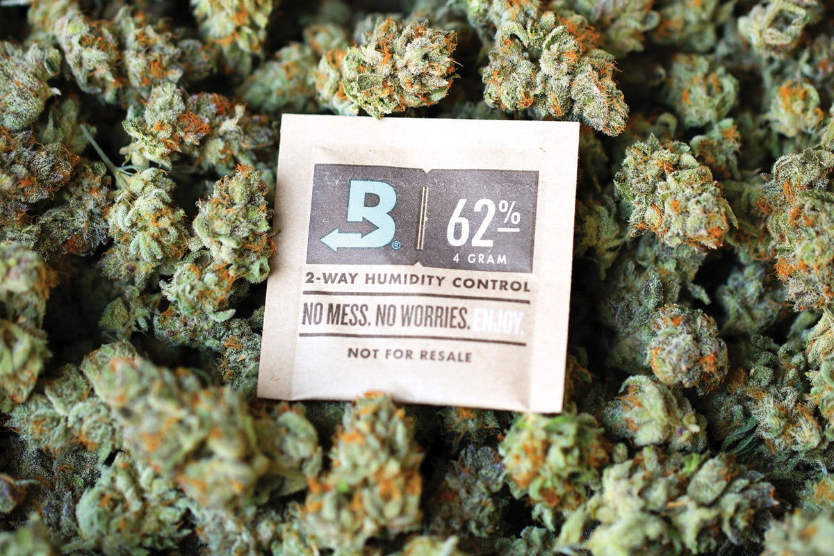 Cannabis quality and moisture preservation