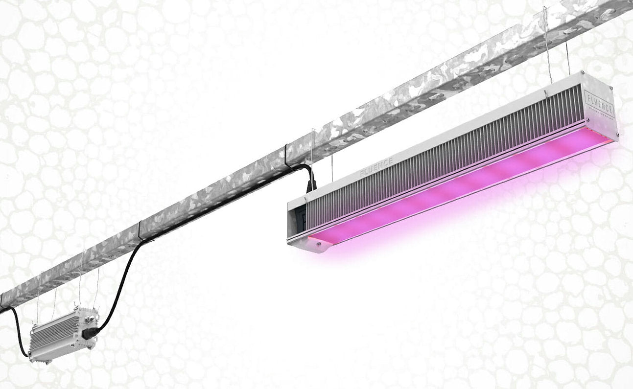Fluence VYPR 3P LED Toplight – Growhaus USA